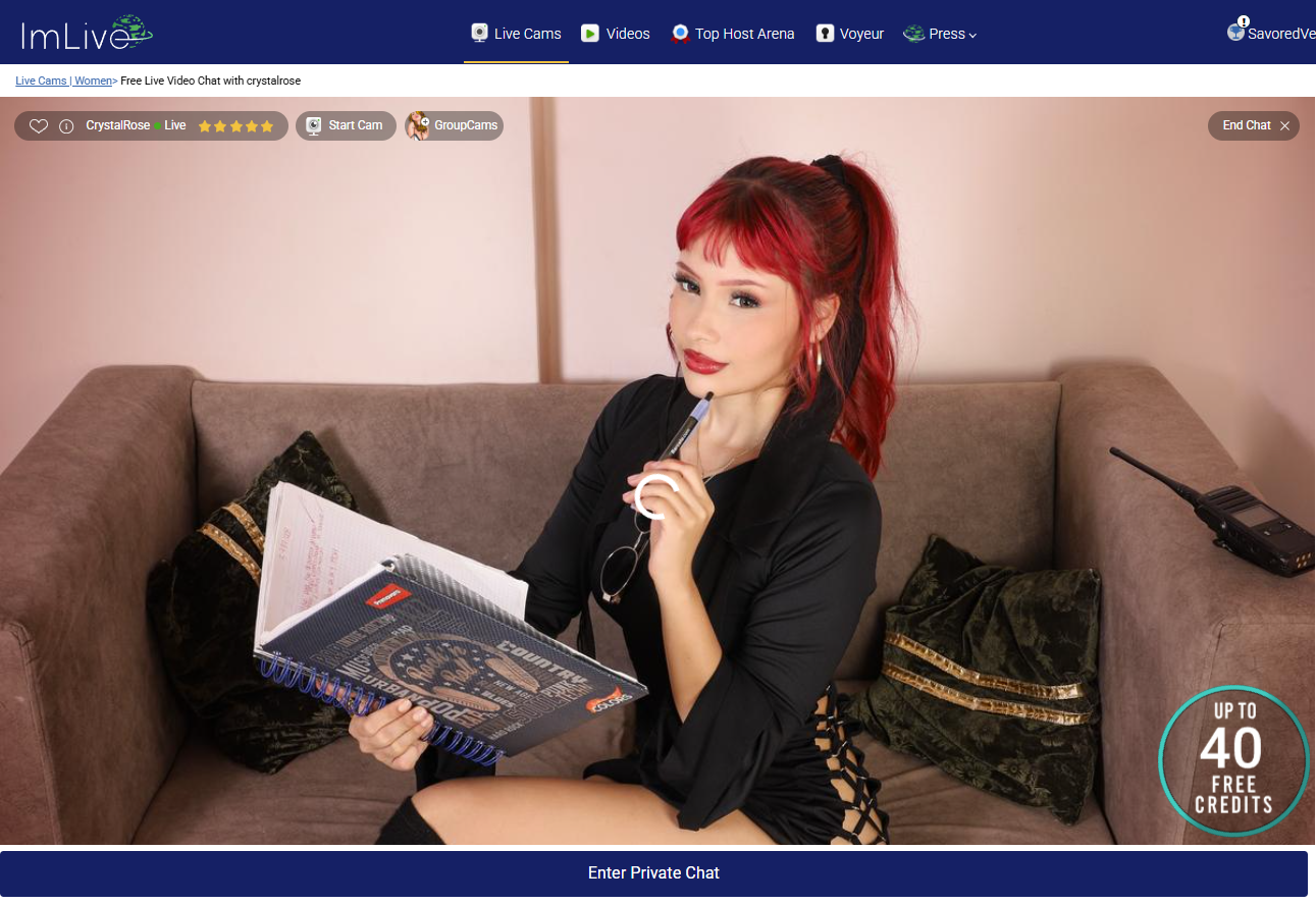 ImLive Review Live Room Layout and Cam-to-Cam Chat Interface